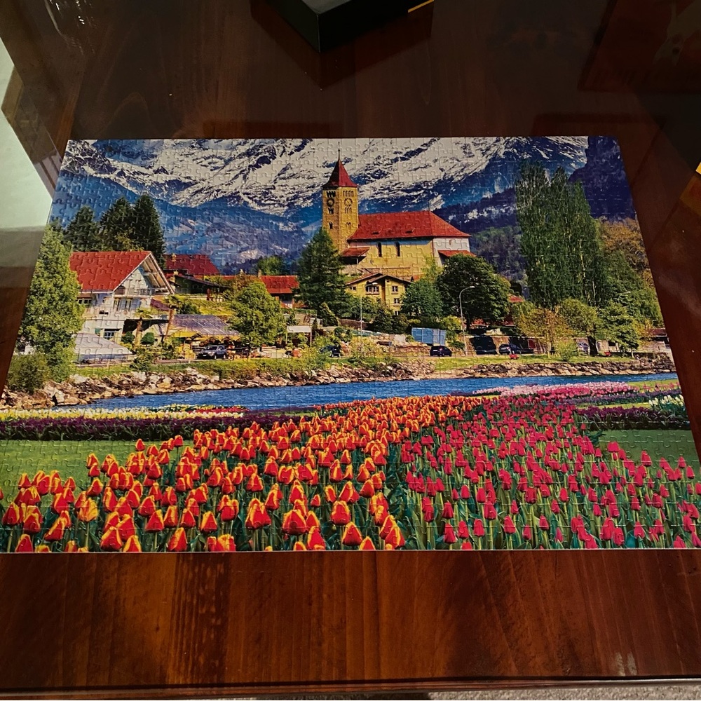 Kodiak 1000 Piece Jigsaw Puzzle Landscape With Tulips And Mountains